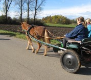 Macki und seine Kutsche 