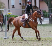 Vanessa und Ariello - Siegerehrung